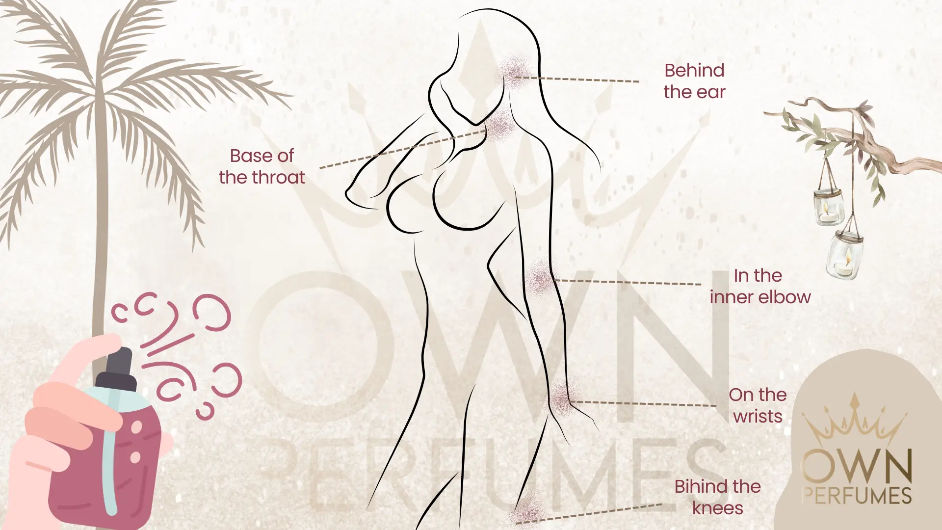 Own Perfumes - Areas to apply fragrances pulse points