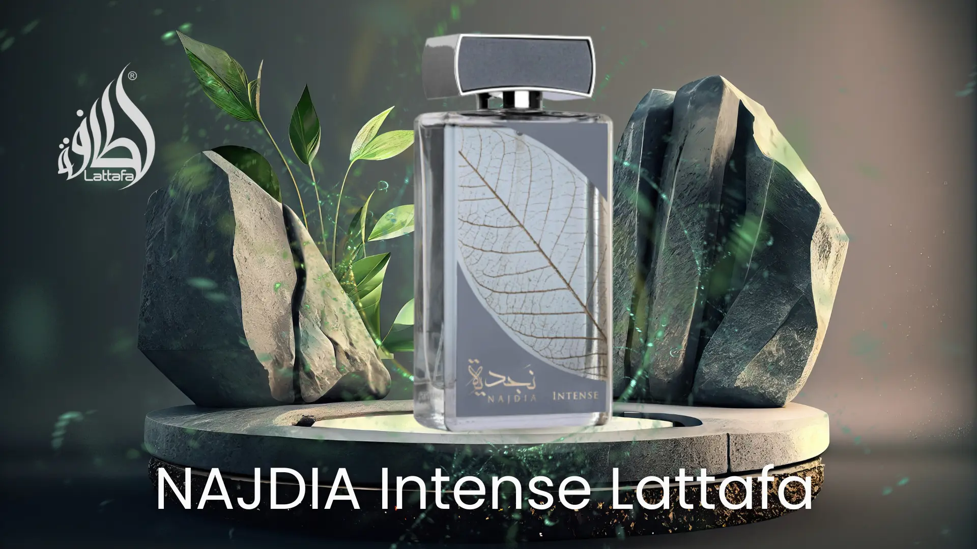 Najdia Intense 100ml - Lattafa Perfumes