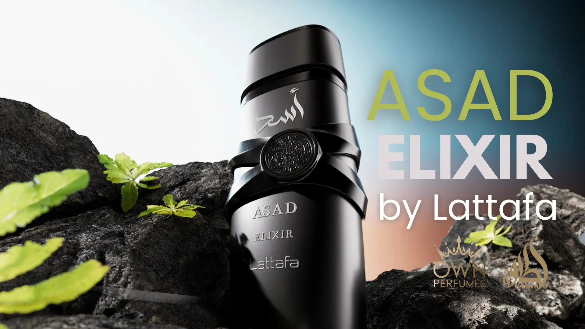 ASAD Elixir EDP 100ml by Lattafa