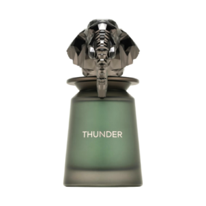 Thunder EDP 100ml by French Avenue