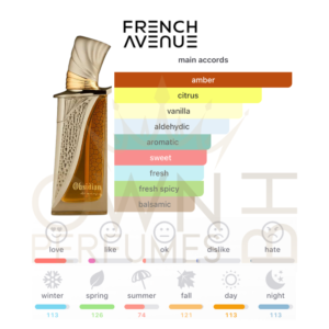 Obsidian Extrait De Parfume EDP 100ml by French Avenue